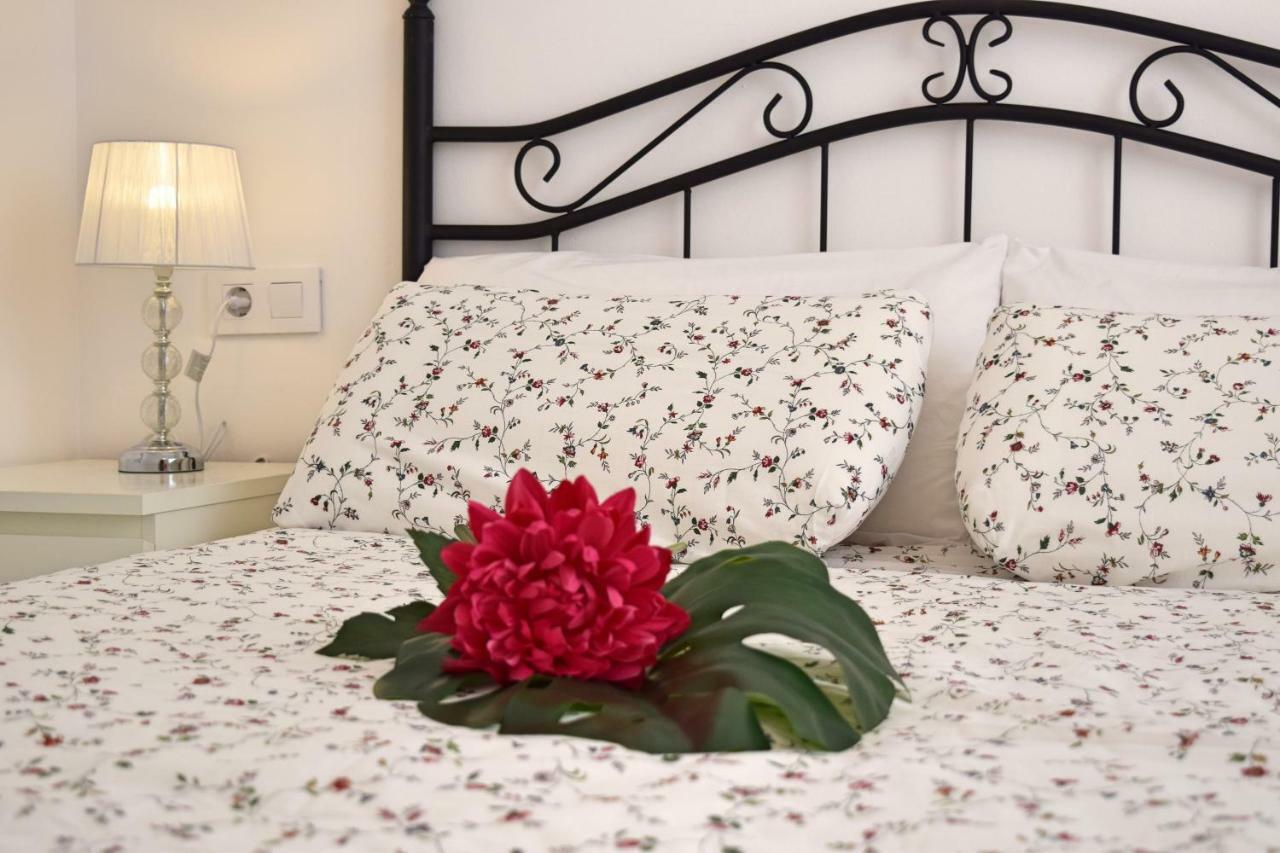 Apartamento Cister Old Town 马拉加 外观 照片
