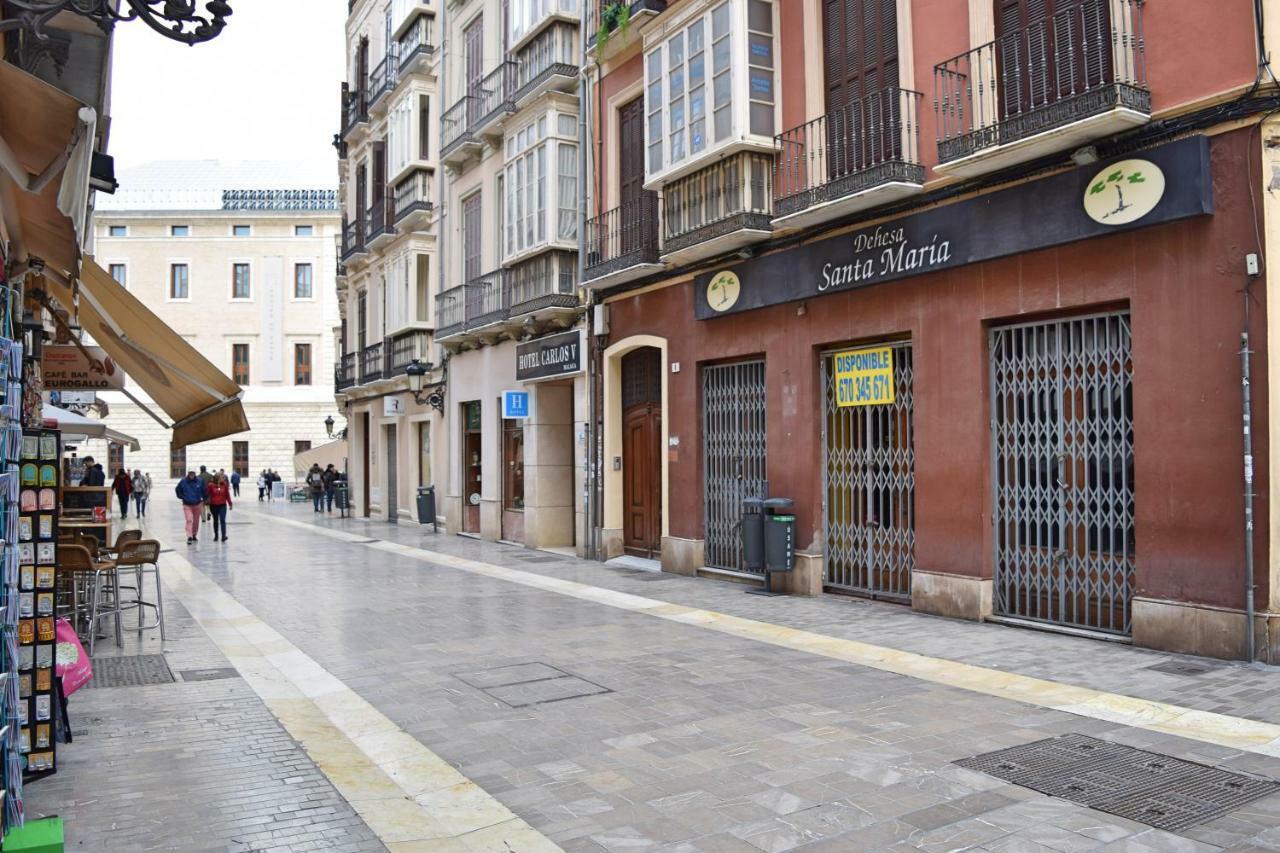 Apartamento Cister Old Town 马拉加 外观 照片